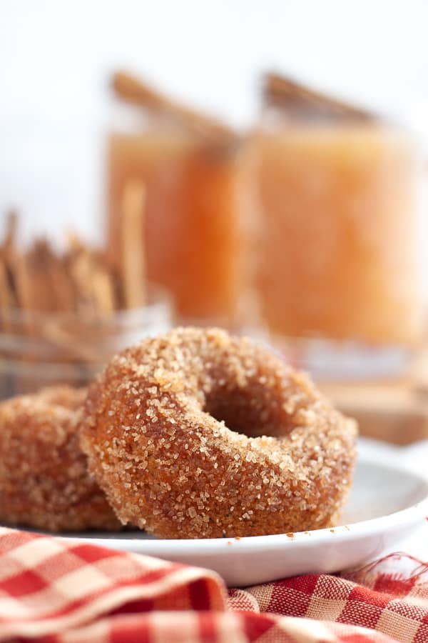 Best Apple Cider Donuts