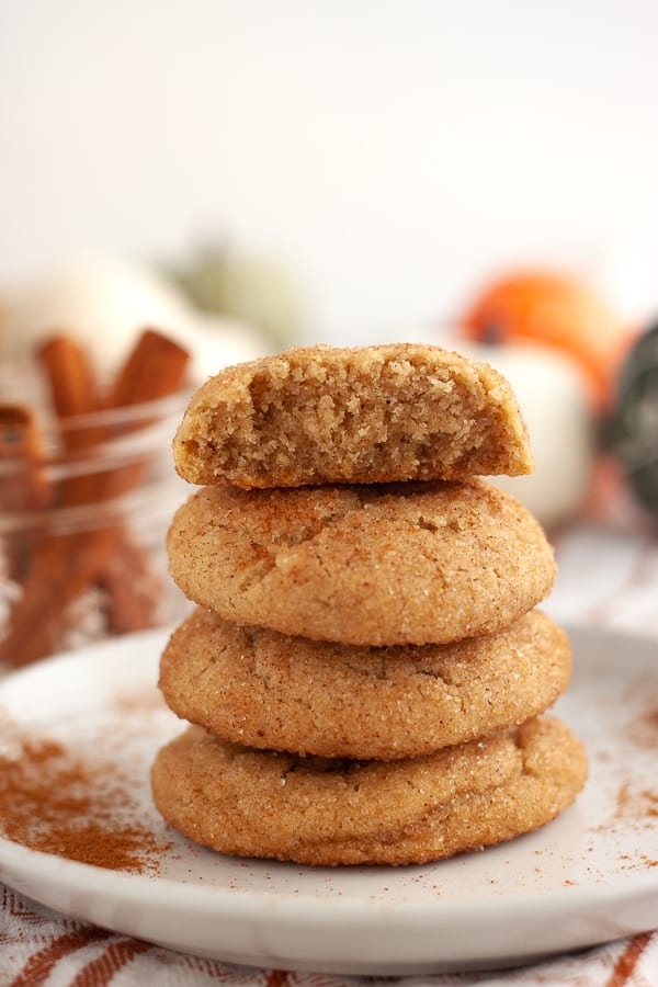 Soft Vegan Cinnamon Snickerdoodles