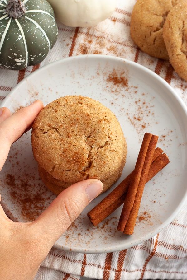 Soft Vegan Snickerdoodles