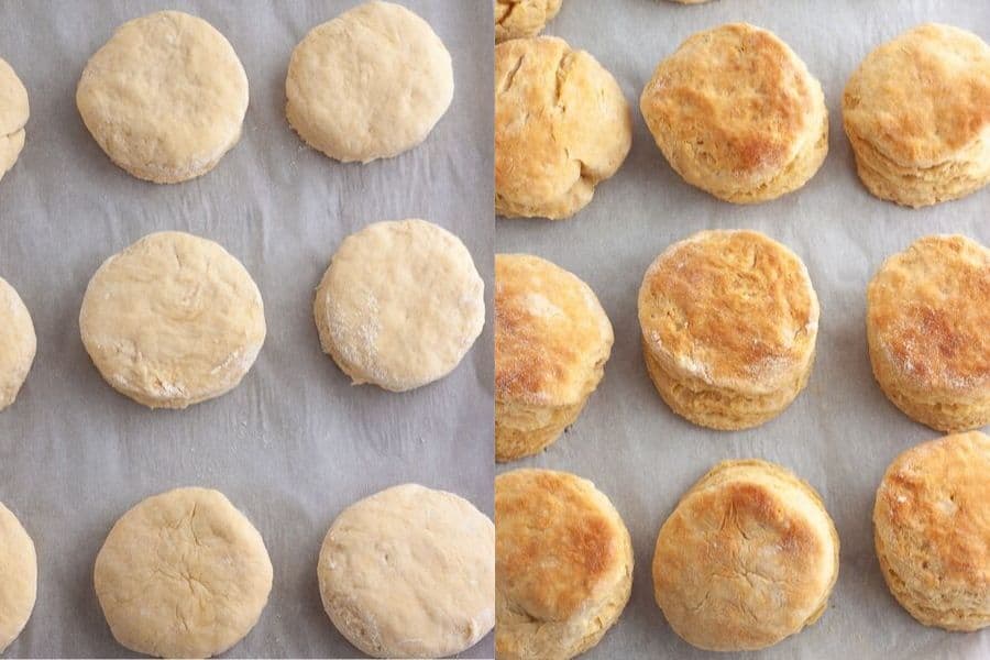 Vegan Buttermilk Biscuits Baked