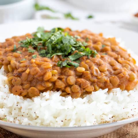 Vegetarian Dahl