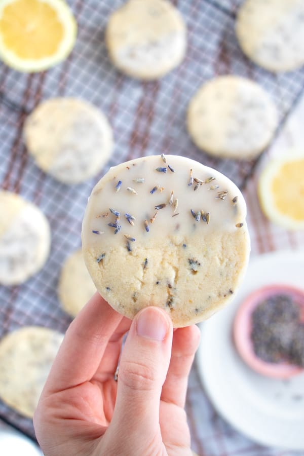 Lavender Cookie Recipe