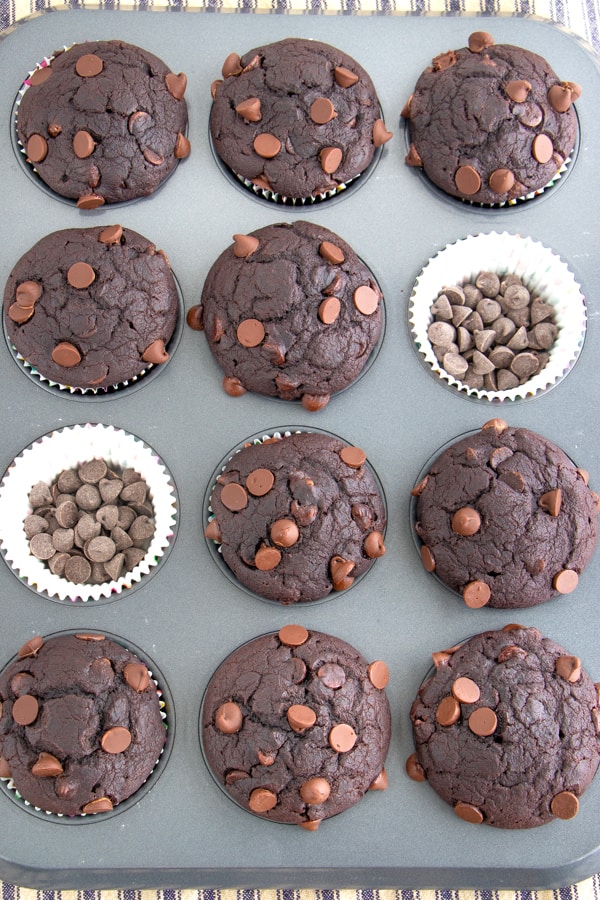 Vegan Double Chocolate Muffins