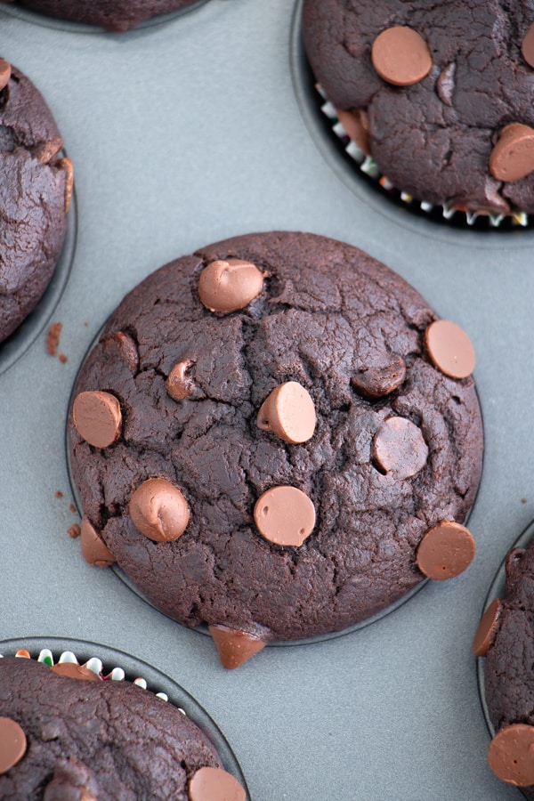 Rich and Sweet Chocolate Muffins