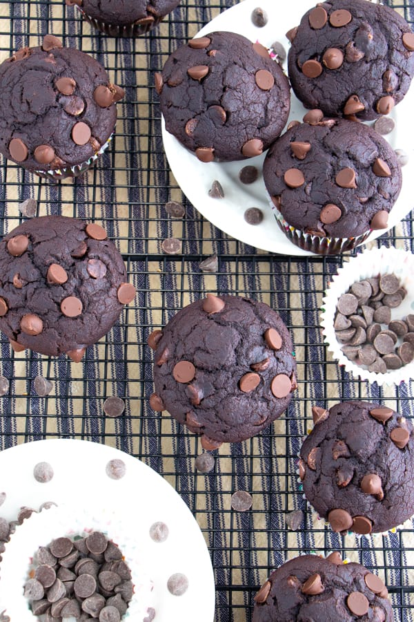 Simple Chocolate Muffins