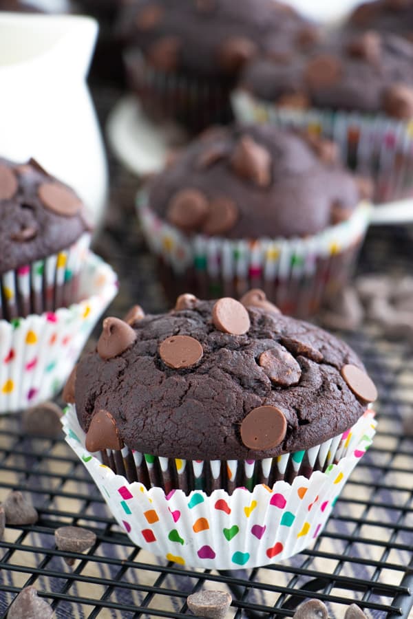 Best Vegan Chocolate Muffins