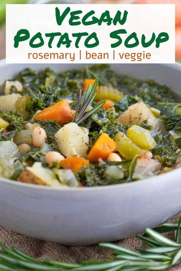 Vegan Vegetable Soup