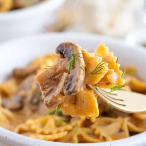 Vegetarian Stroganoff