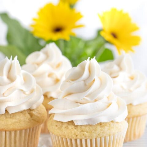 Vegan Frosting for Cupcakes