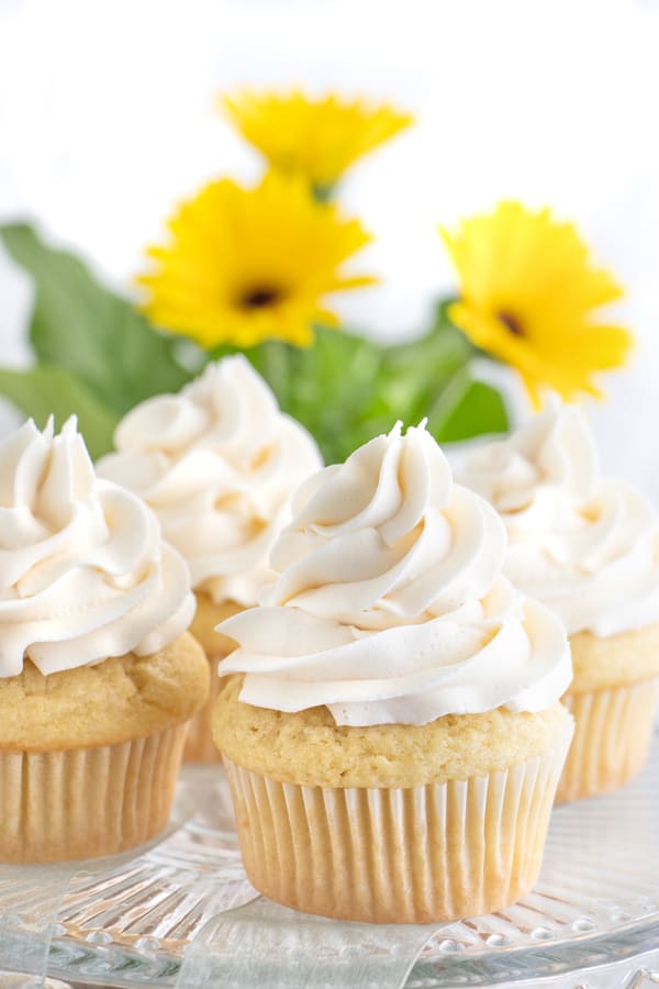 Vegan Frosting for Cupcakes