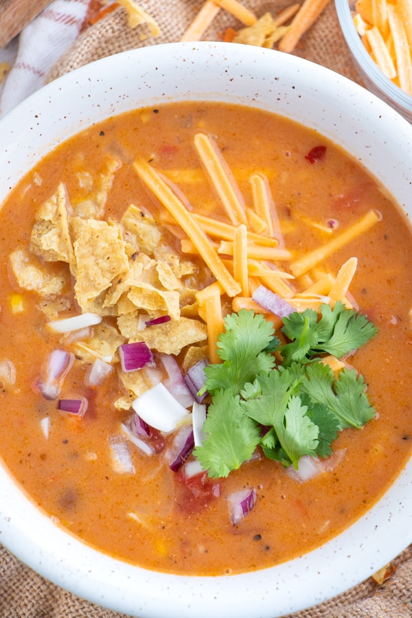 Vegetarian Mexican Soup