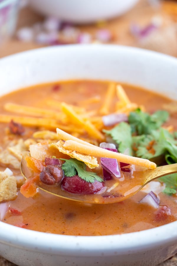 Vegetarian Tortilla Soup