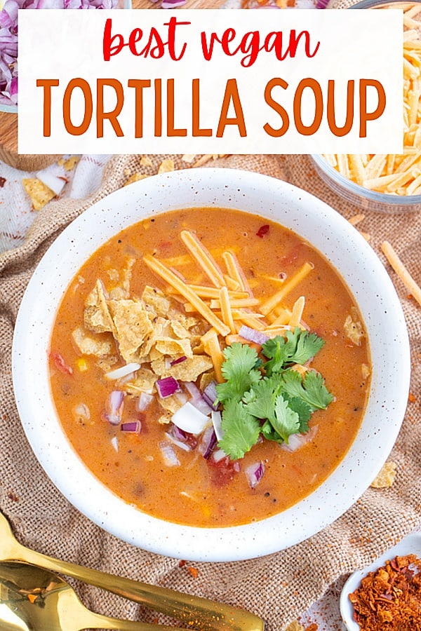 Instant Pot Vegan Tortilla Soup with Jackfruit - Plant Based