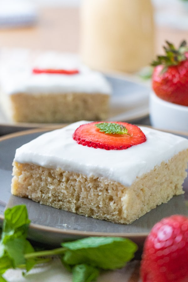 Vegan Tres Leches Cake - plant.well