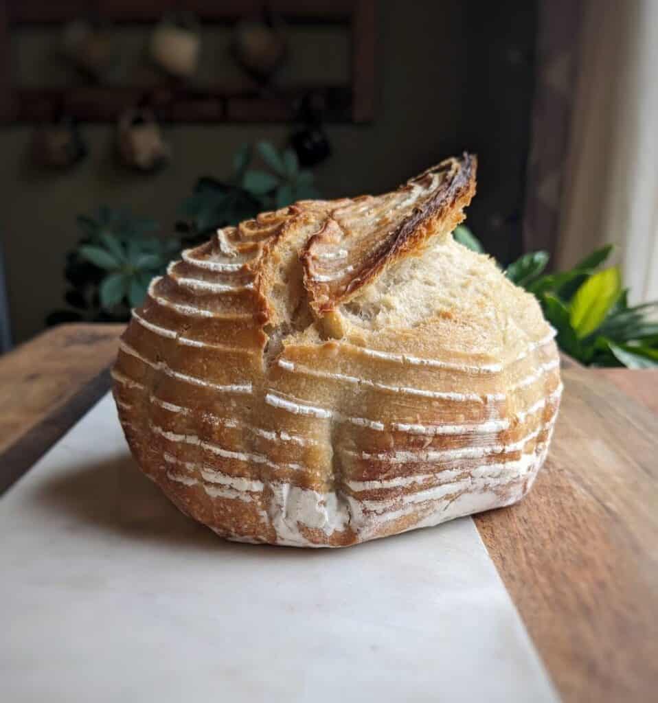 Sourdough bread 